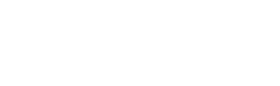 PLANATEL®: Telekommunikations- und Sicherheitskonzepte, Informationstechnologie